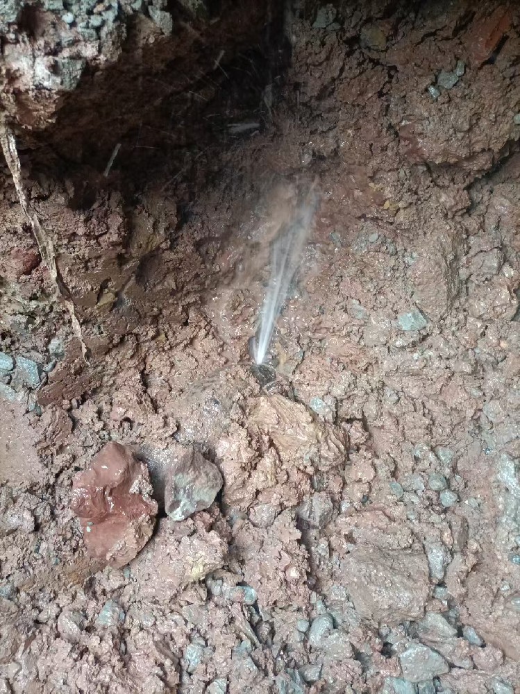 陈巴尔虎旗本地服务：自来水管漏水检测维修